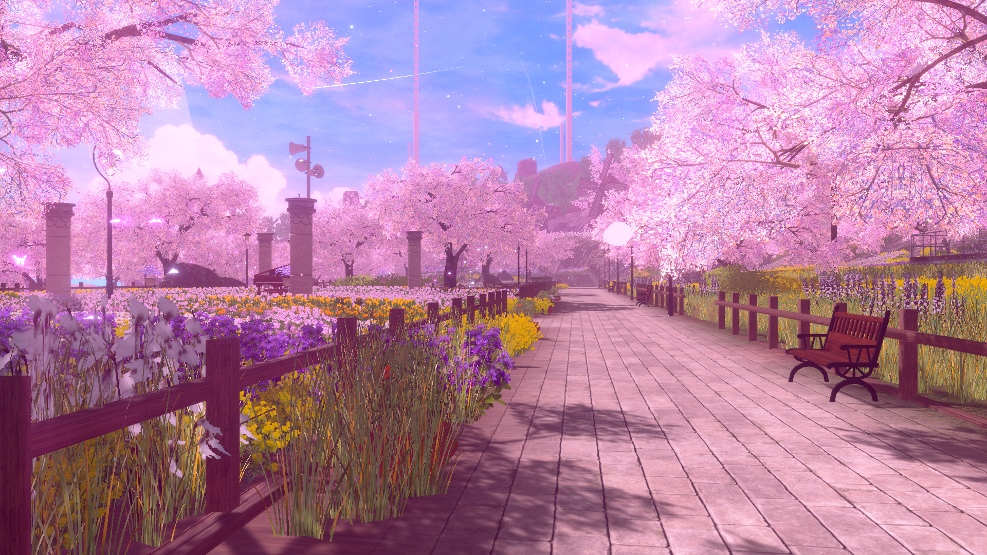Picture 7