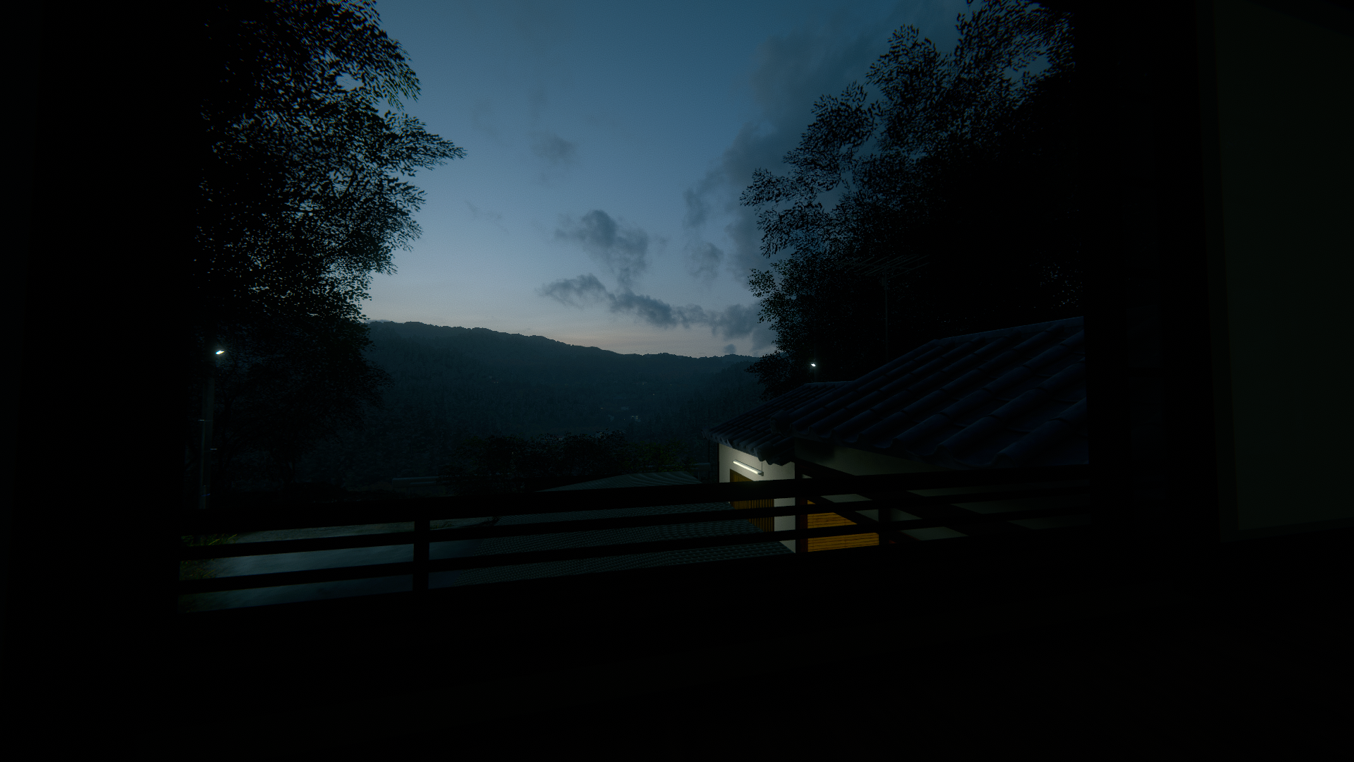Picture 6